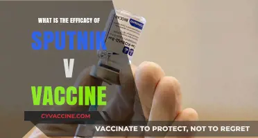 Sputnik V Vaccine: Assessing Its Efficacy and Global Impact