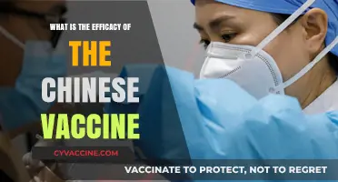 Evaluating the Effectiveness of China's COVID-19 Vaccine: A Comprehensive Review