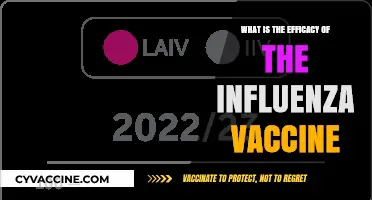 Understanding Influenza Vaccine Efficacy: Benefits, Limitations, and Importance