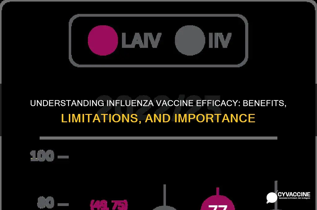 what is the efficacy of the influenza vaccine
