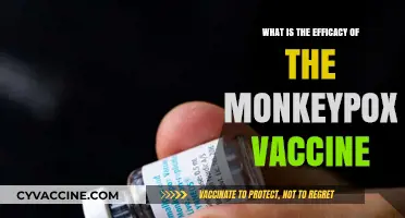 Monkeypox Vaccine Efficacy: Protection, Prevention, and Public Health Impact