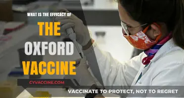 Oxford Vaccine Efficacy: Understanding Its Effectiveness and Impact