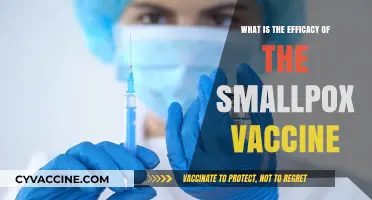Smallpox Vaccine Efficacy: Historical Impact and Modern Relevance Explored