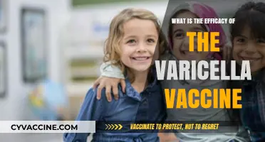 Varicella Vaccine Efficacy: Protecting Against Chickenpox Effectively