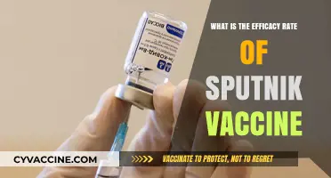 Sputnik V Vaccine: Understanding Its Efficacy Rate and Effectiveness