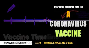 When Can We Expect a Coronavirus Vaccine? Estimated Timeline Revealed