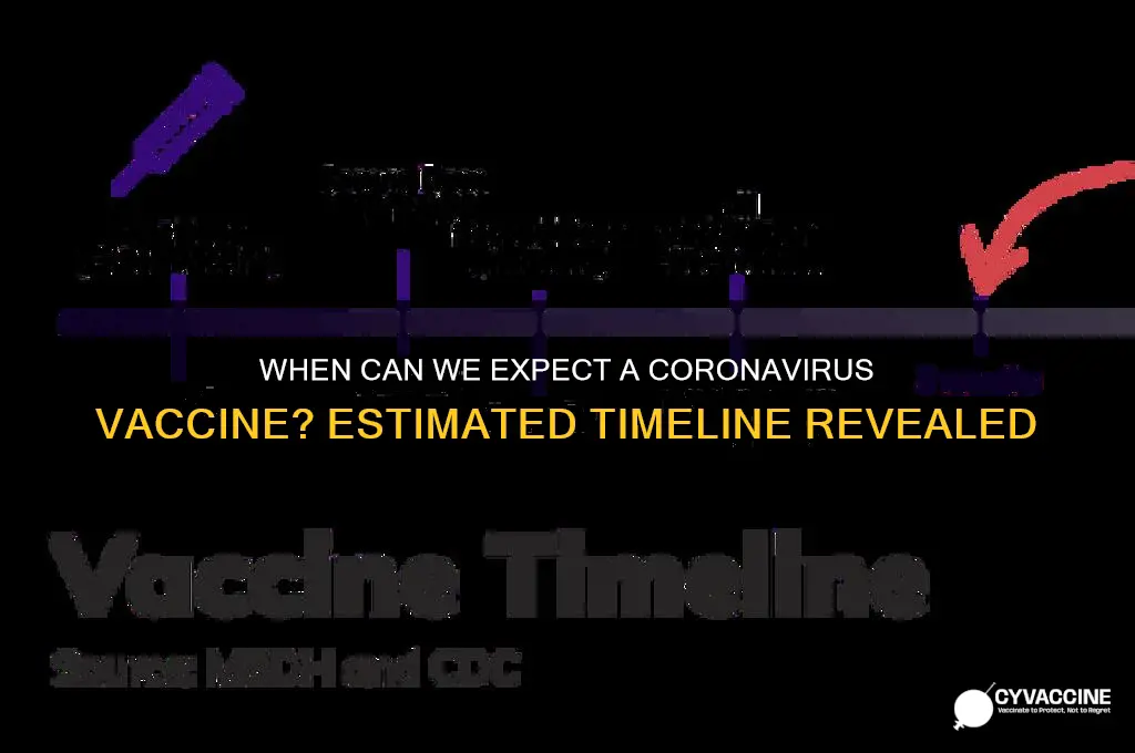 what is the estimated time for a coronavirus vaccine