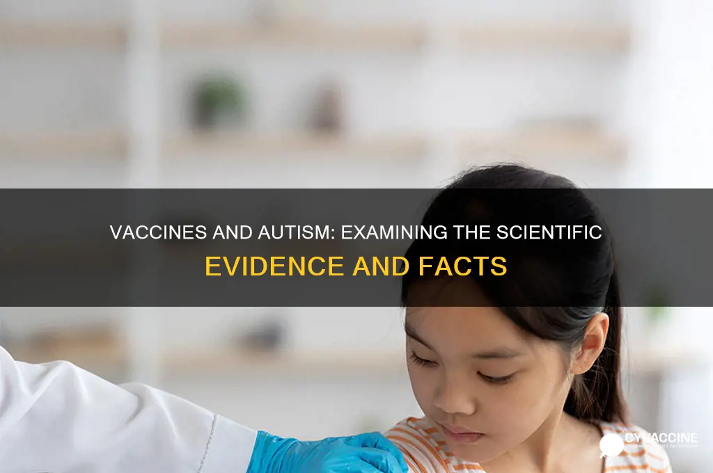 what is the evience for vaccines and autism
