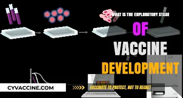 Unveiling the Exploratory Stage: How Vaccines Begin Their Journey