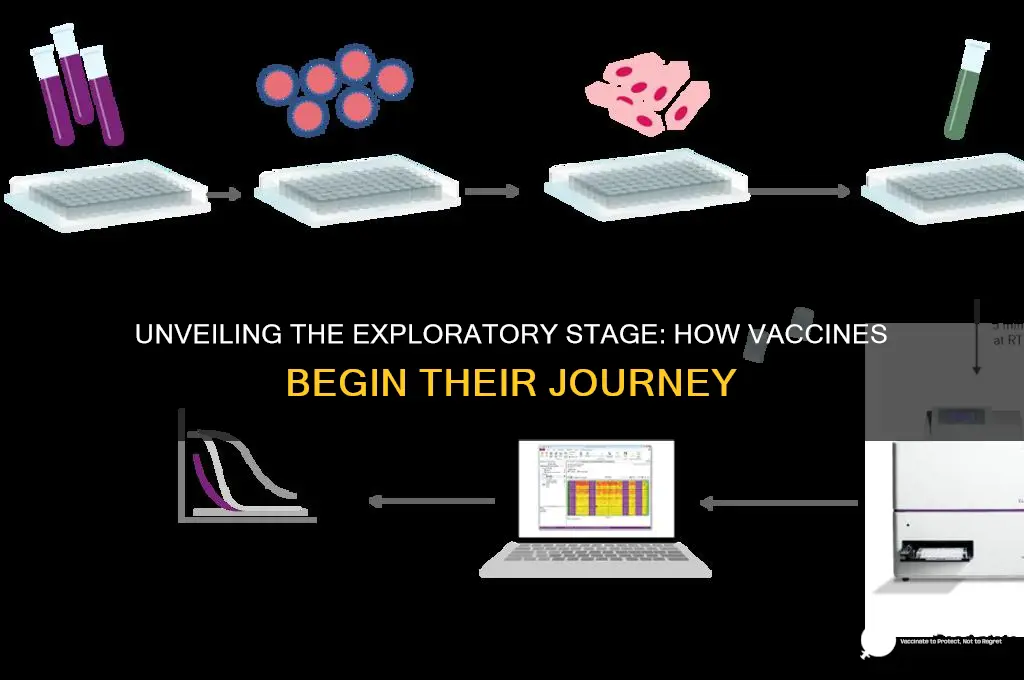what is the exploratory stage of vaccine development