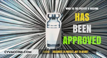 Record-Breaking Vaccine Approval: The Fastest Timeline in History