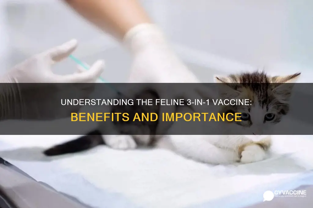 what is the feline 3 in 1 vaccine
