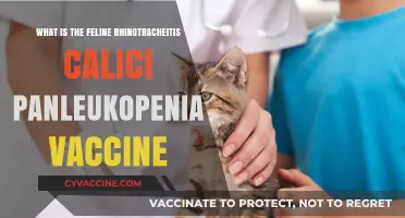 Understanding the Feline Rhinotracheitis Calici Panleukopenia Vaccine: A Comprehensive Guide