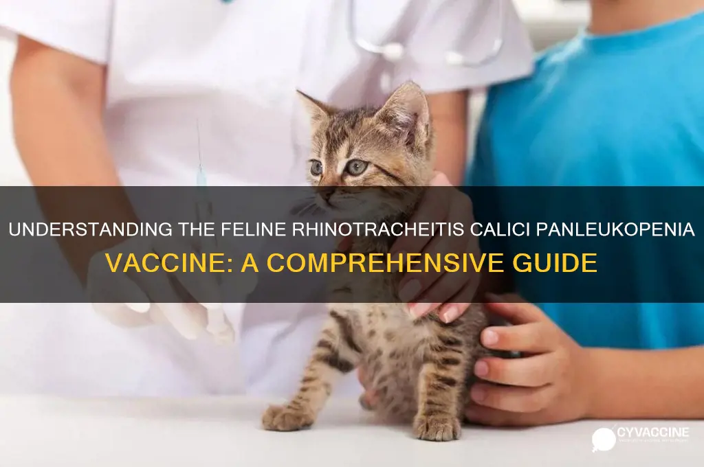 what is the feline rhinotracheitis calici panleukopenia vaccine
