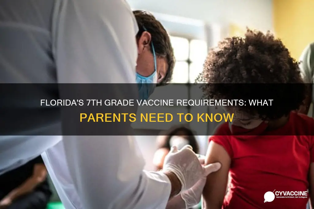 what is the florida state vaccine equirement for 7th grade