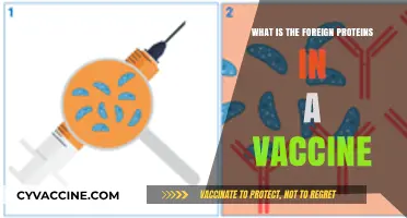 Understanding Foreign Proteins in Vaccines: Purpose, Safety, and Function