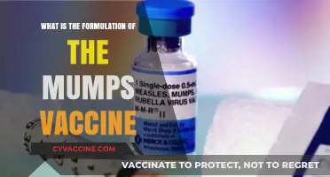 Understanding the Mumps Vaccine: Key Ingredients and Formulation Process