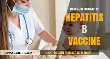 Hepatitis B Vaccine Frequency: Essential Dosing Schedule Explained