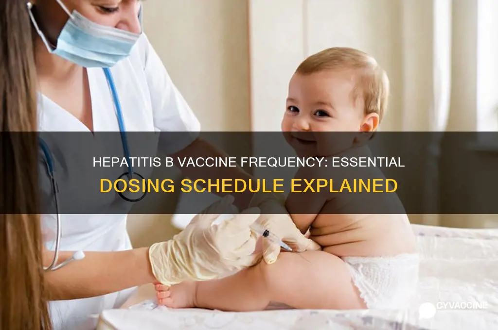 what is the frequency of hepatitis b vaccine