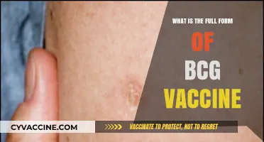 Understanding the BCG Vaccine: Full Form and Its Significance Explained