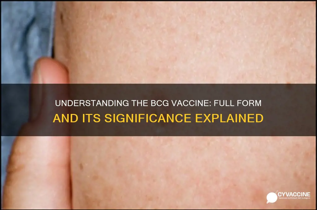 what is the full form of bcg vaccine