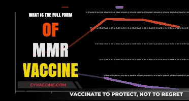 Understanding the MMR Vaccine: Full Form and Its Importance Explained
