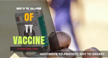 Understanding the TT Vaccine: Full Form and Its Importance Explained