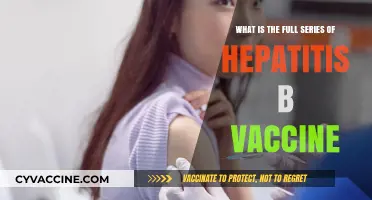 Complete Hepatitis B Vaccine Series: Schedule, Dosage, and Protection