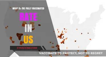 US Fully Vaccinated Rate: Current Statistics and Trends Explained