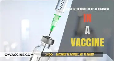 Understanding Adjuvants: Enhancing Vaccine Efficacy and Immune Response