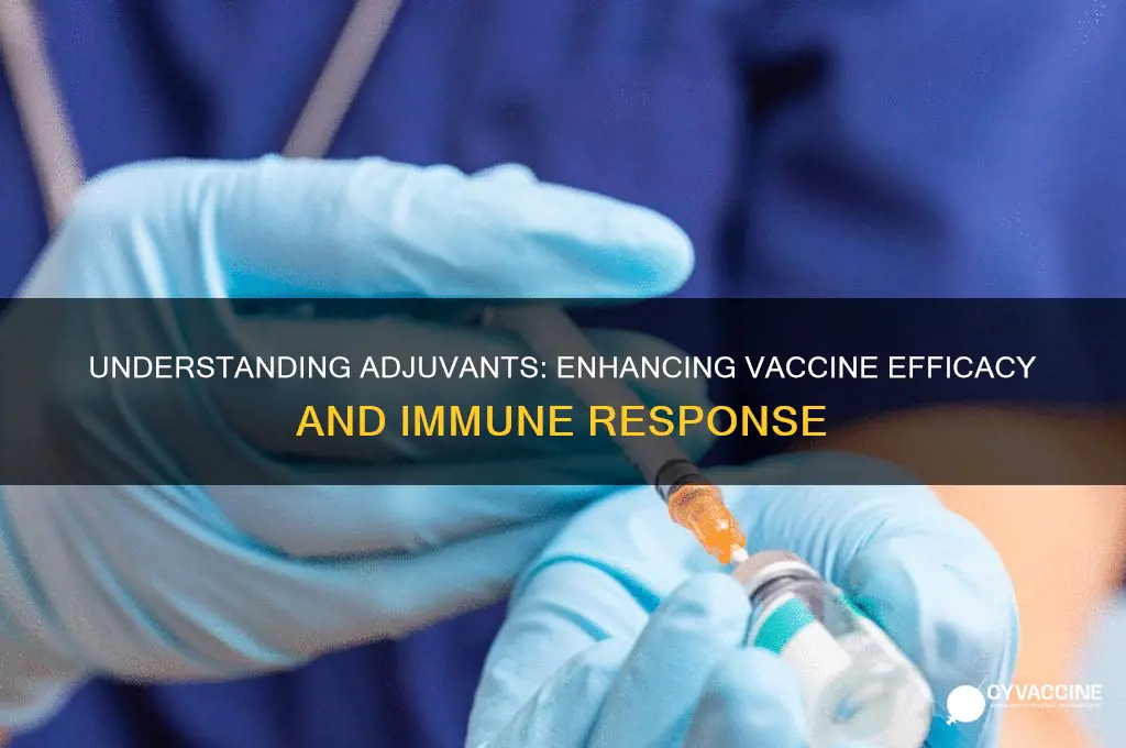 what is the function of an adjuvant in a vaccine