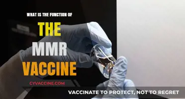 Understanding the MMR Vaccine: Protecting Against Measles, Mumps, and Rubella