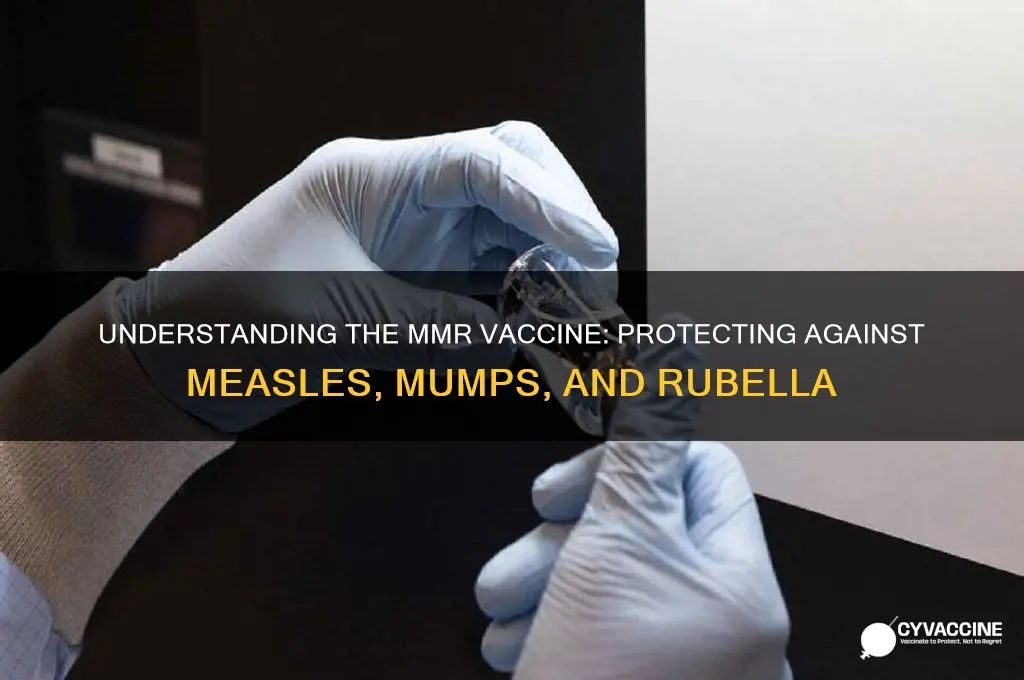 what is the function of the mmr vaccine