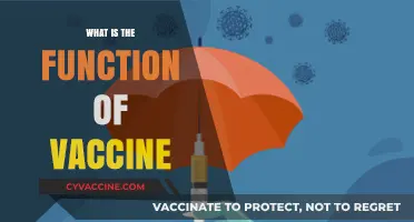 Understanding Vaccines: How They Protect and Strengthen Our Immune System