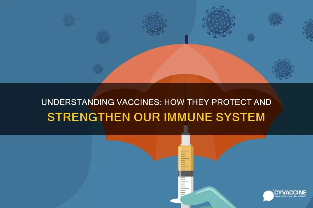 what is the function of vaccine