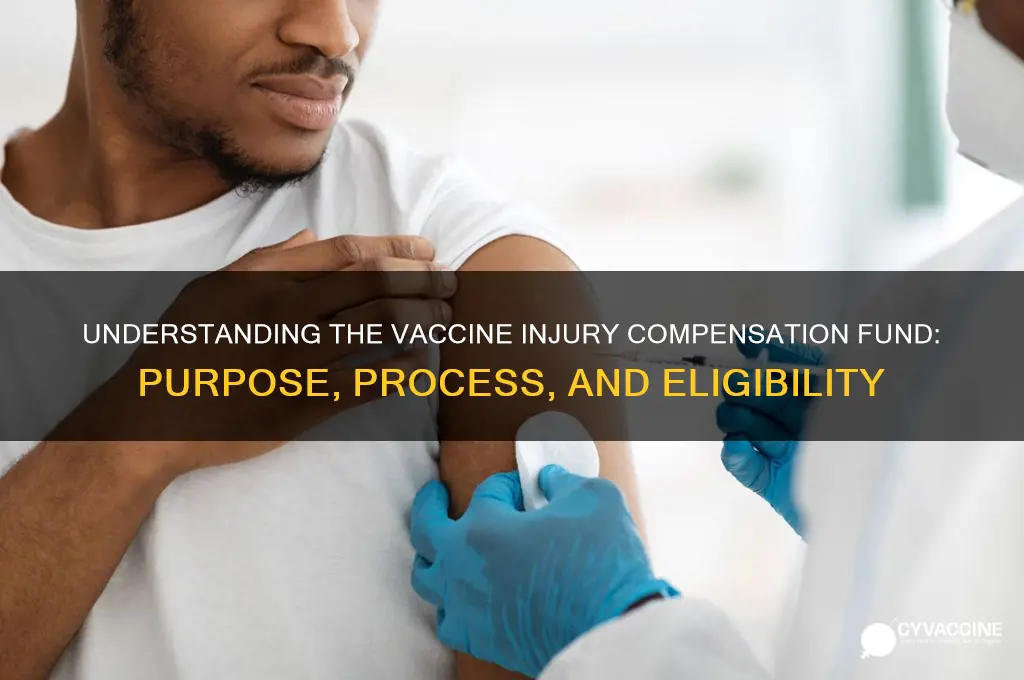 what is the fund for vaccine compensation injury