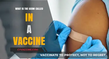 Understanding Vaccine Components: The Role of the Germ in Immunization