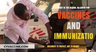 Understanding the Global Alliance for Vaccines and Immunization's Impact