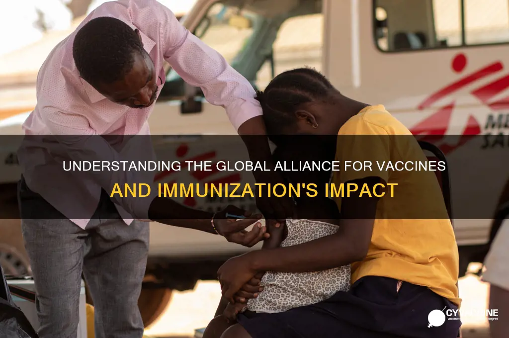 what is the global alliance for vaccines and immunization