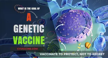 Understanding Genetic Vaccines: Their Purpose and Potential in Modern Medicine