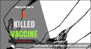 Understanding Killed Vaccines: Their Purpose and Role in Disease Prevention
