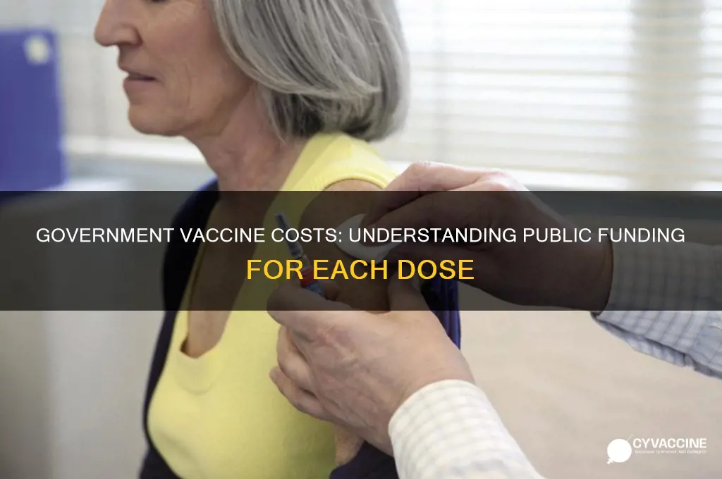 what is the government paying for each vaccine