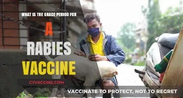 Understanding the Rabies Vaccine Grace Period: What You Need to Know