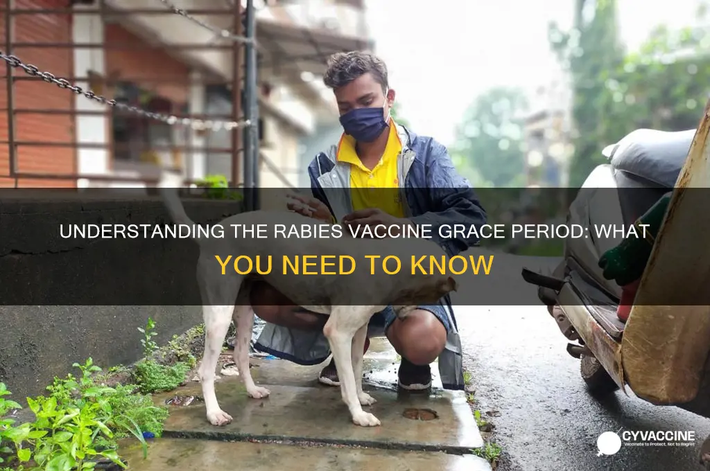 what is the grace period for a rabies vaccine