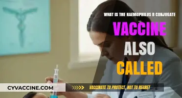 Understanding Haemophilus B Conjugate Vaccine: Alternative Names and Uses
