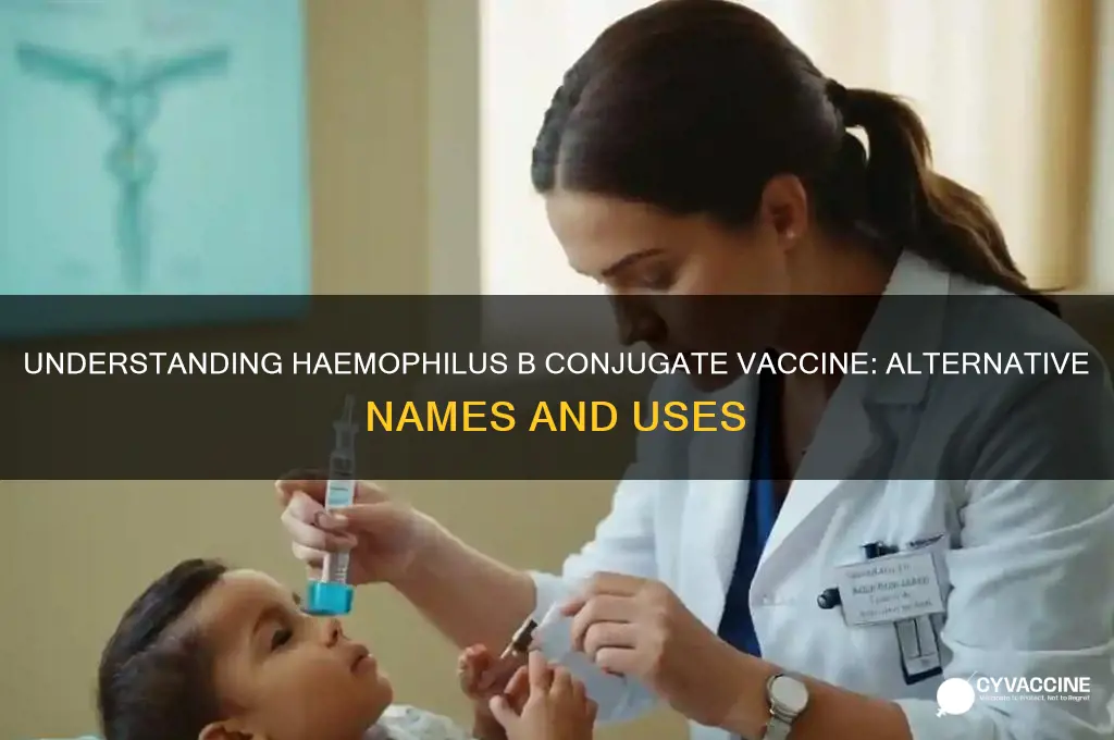 what is the haemophilus b conjugate vaccine also called