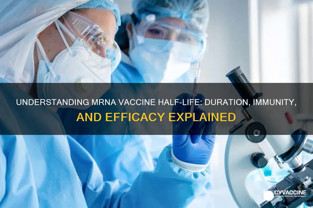 what is the half life of mrna vaccine