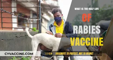 Understanding the Half-Life of Rabies Vaccine: Key Facts Explained