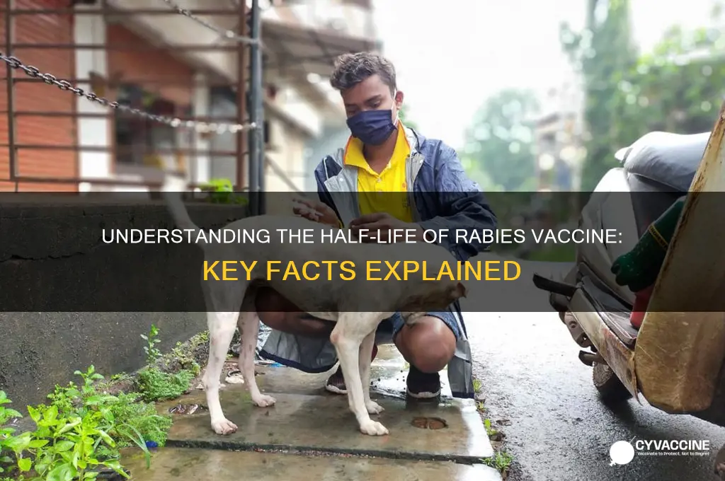 what is the half life of rabies vaccine