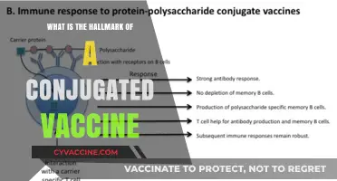 Conjugated Vaccines: The Power of Linking